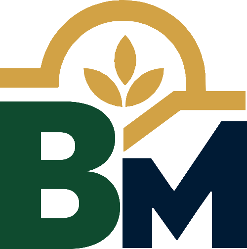 Bad Maal BM logo mark
